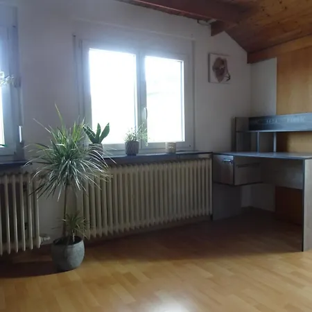 Appartement Gemuetliches 